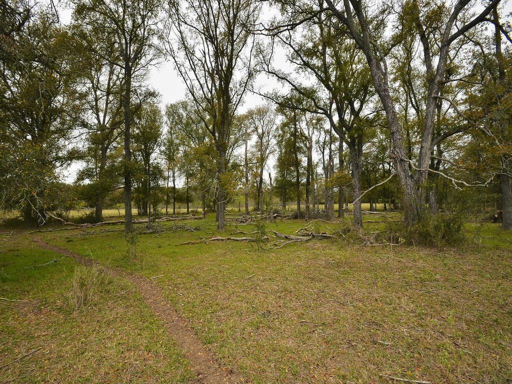 277 FM 672 — photo 4