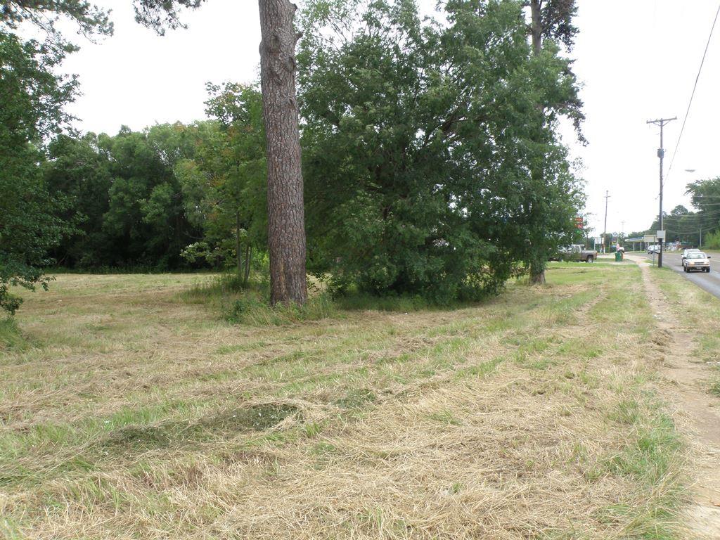 409 Palestine Ave — photo 3