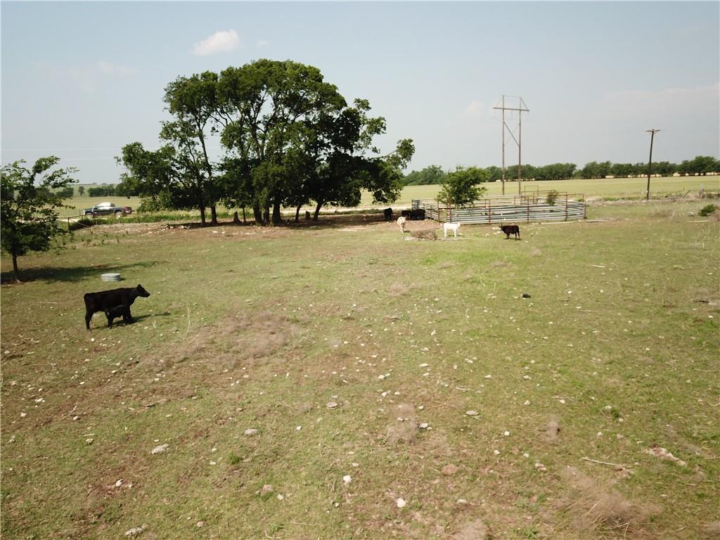 1230 County Road 248 — photo 3