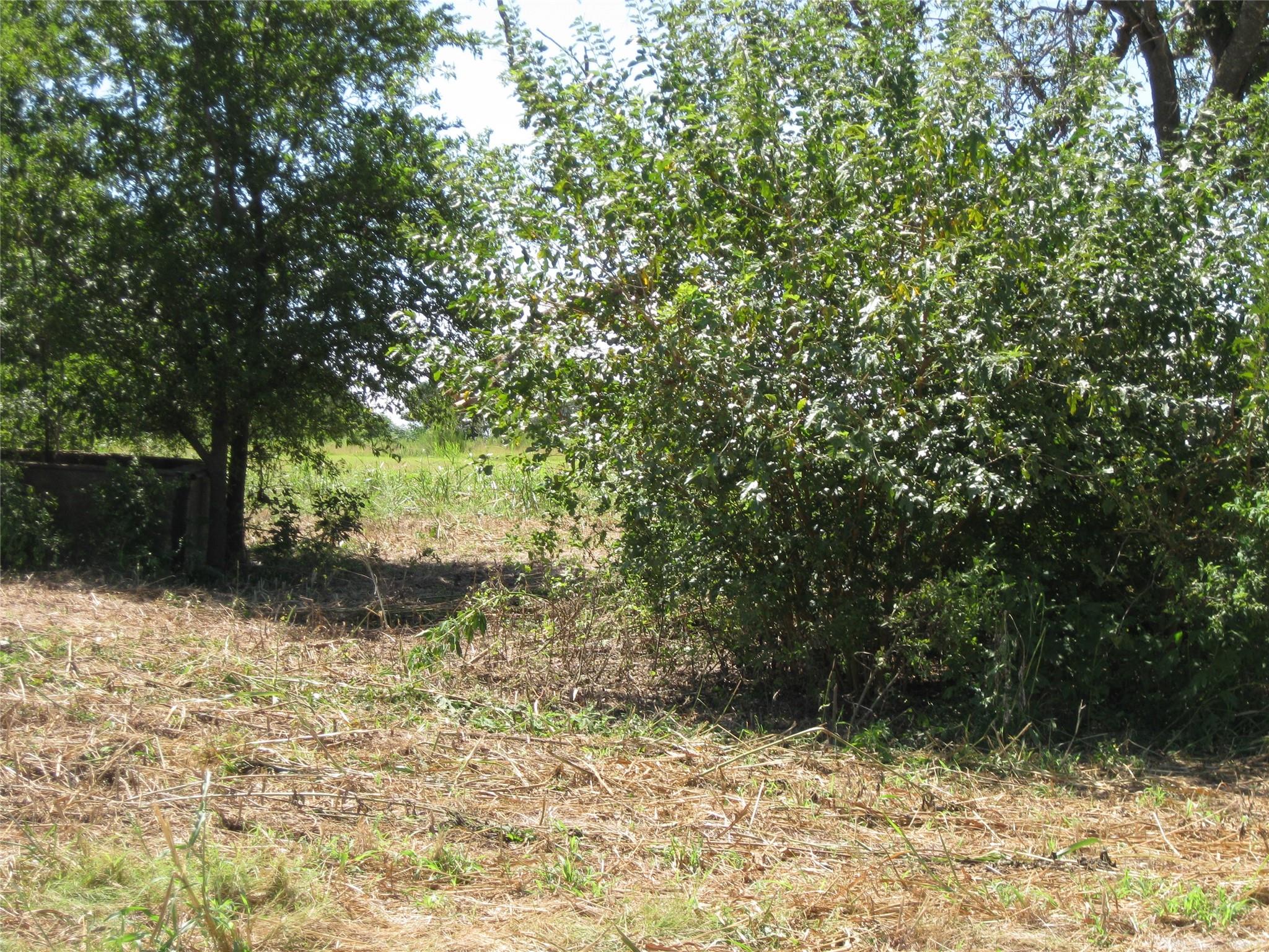 00 County Road 133 — photo 4