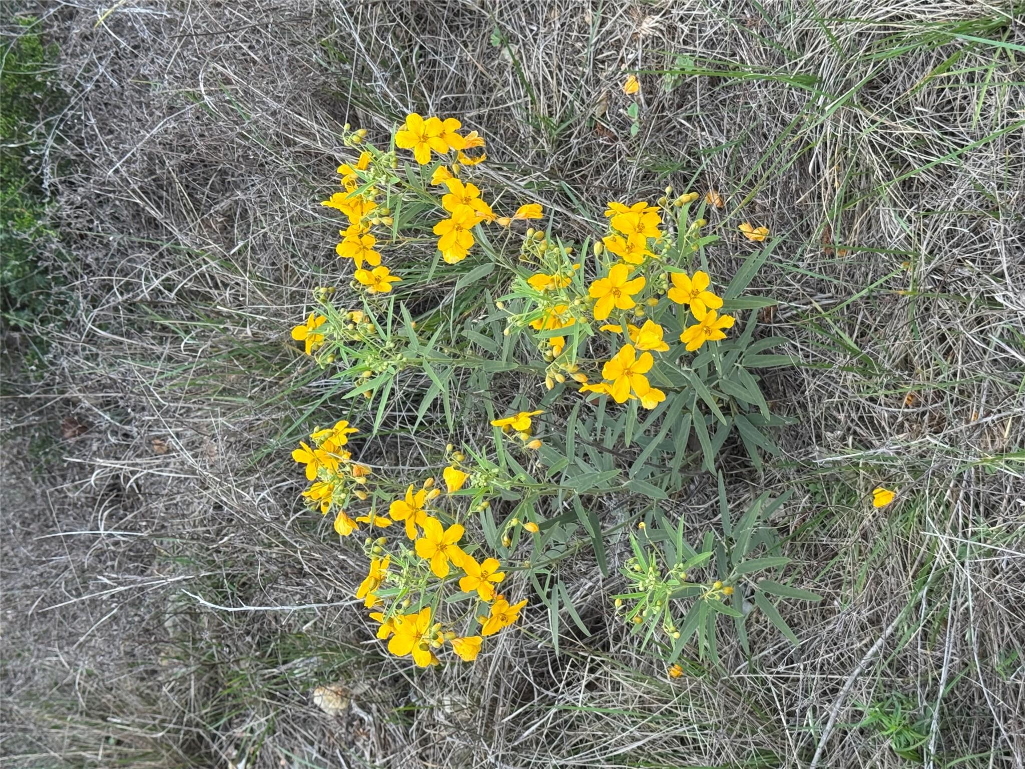 Lot 52 Clearwater Canyon RD — photo 5