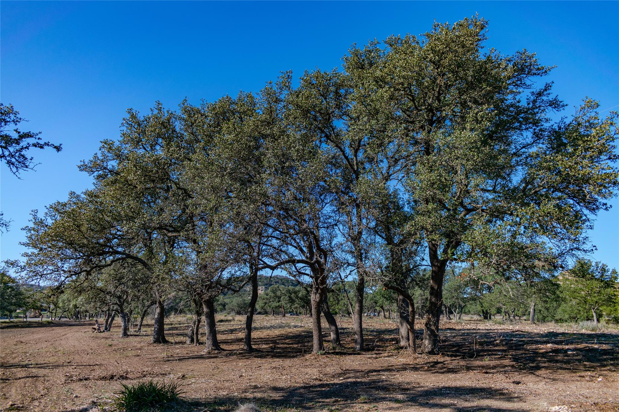 TBD 281 Highway — photo 3
