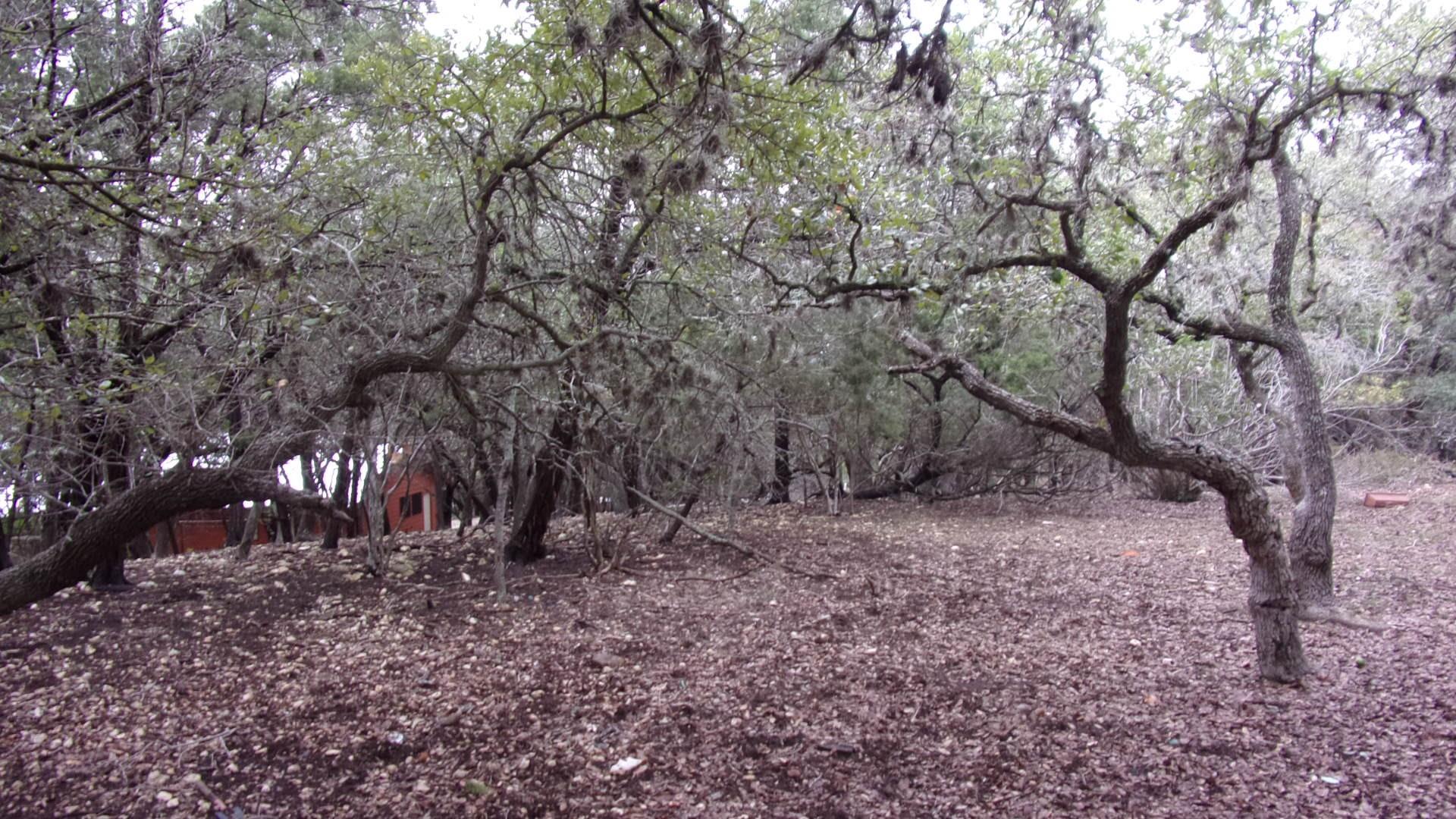 Lot 46 Mountain Wood — photo 4