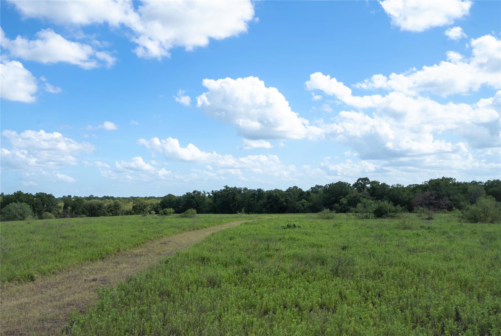 0 Hwy 183 — photo 4