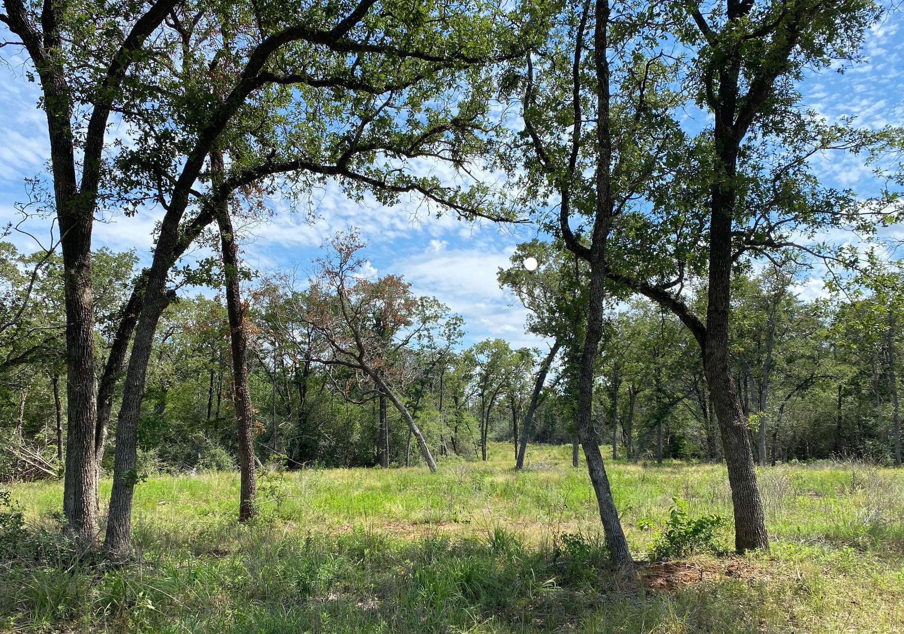 TBD High Crossing Rd - TRACT 8 — photo 4