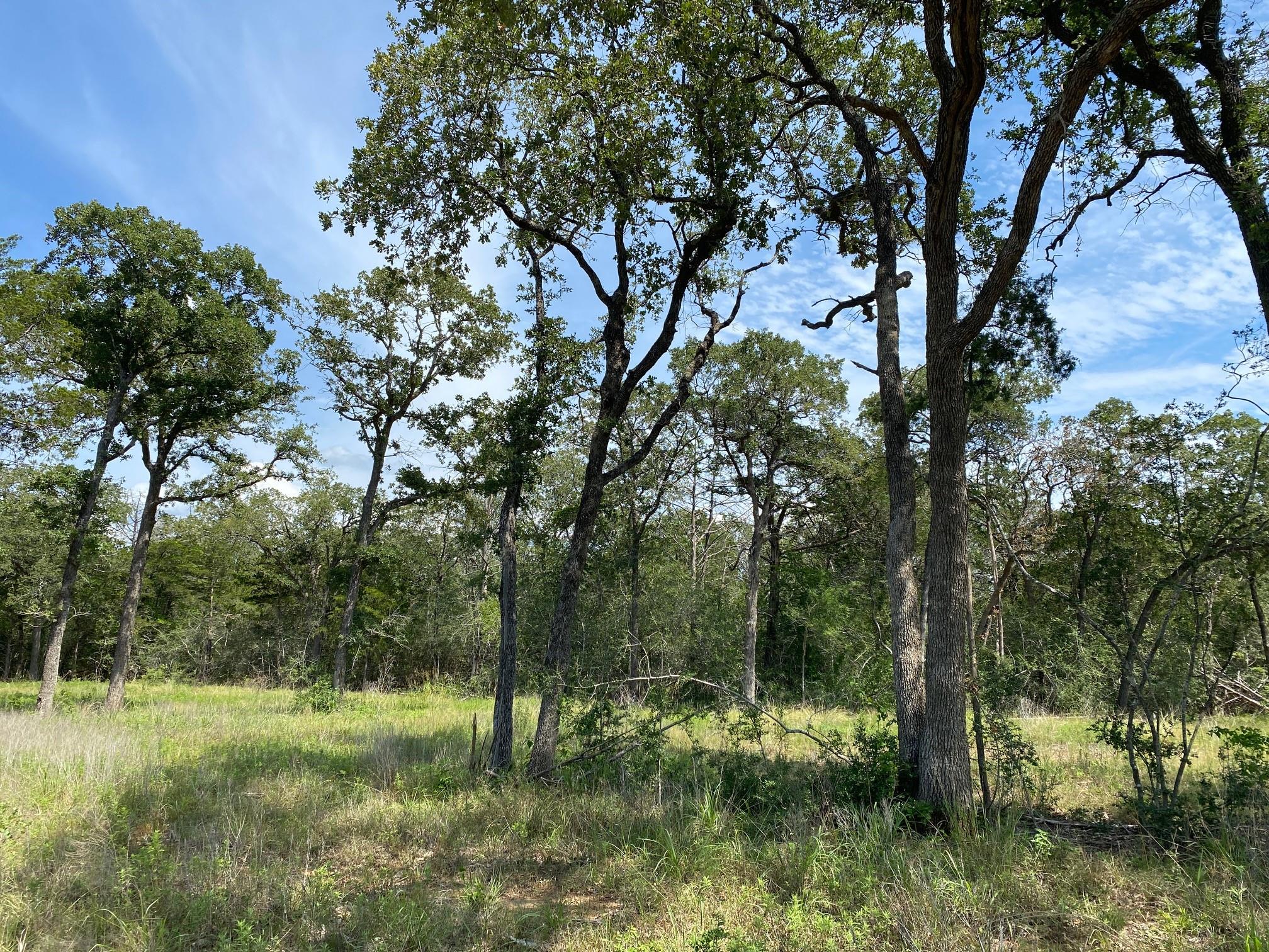 TBD High Crossing Rd - TRACT 8 — photo 5