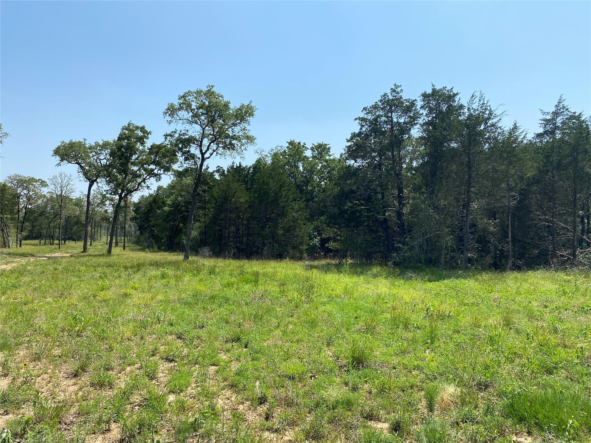TBD High Crossing Rd - TRACT 8 — photo 3