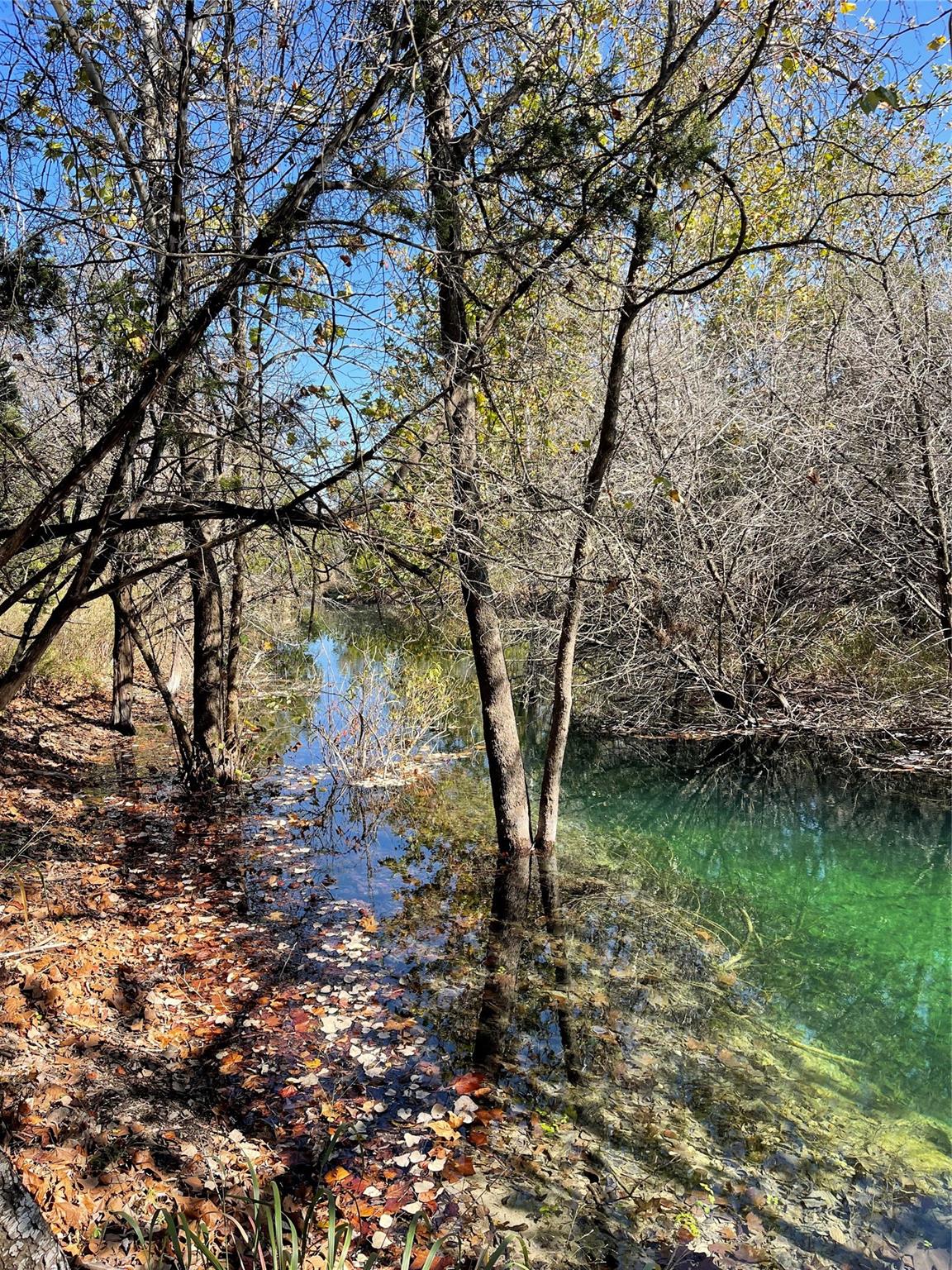 8170 US Hwy 281 Highway — photo 5