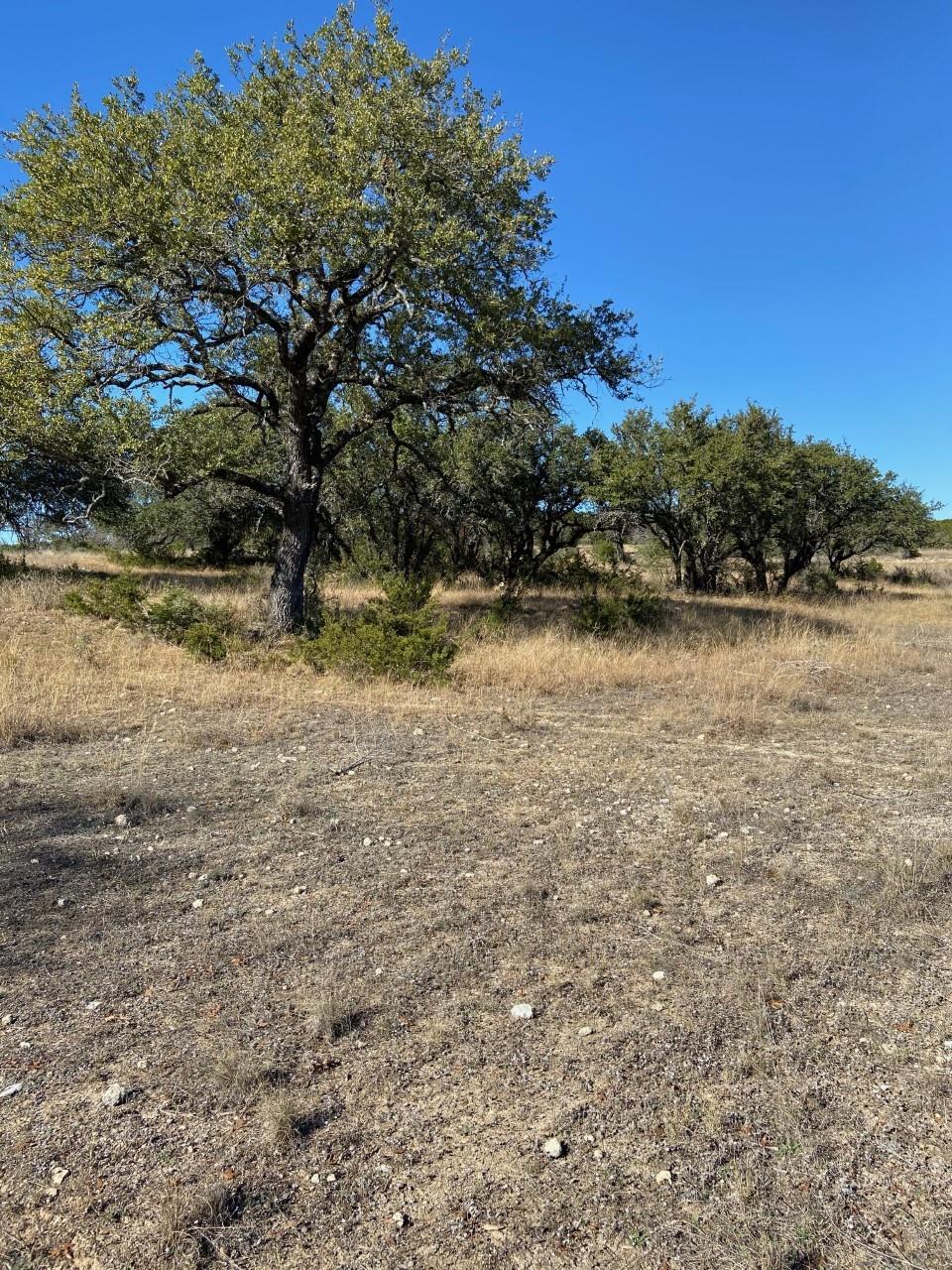 Lot 199 Private Road 4718 — photo 3