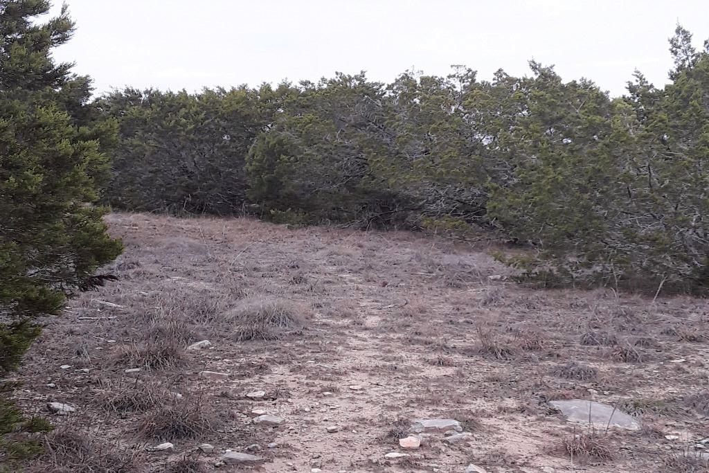 Lot-116 Oak Crest DR — photo 3