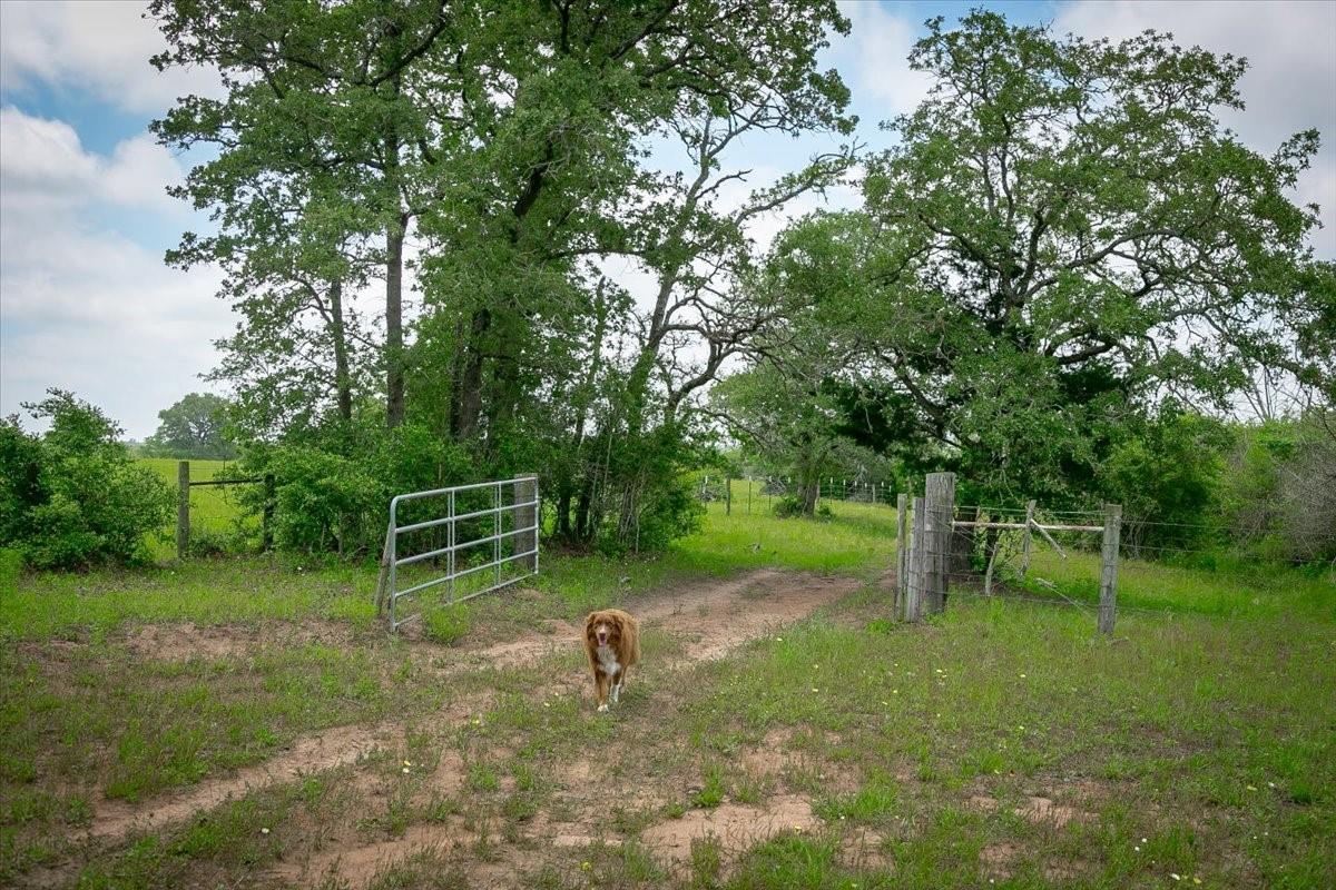 1890 Sandy Fork RD — photo 5