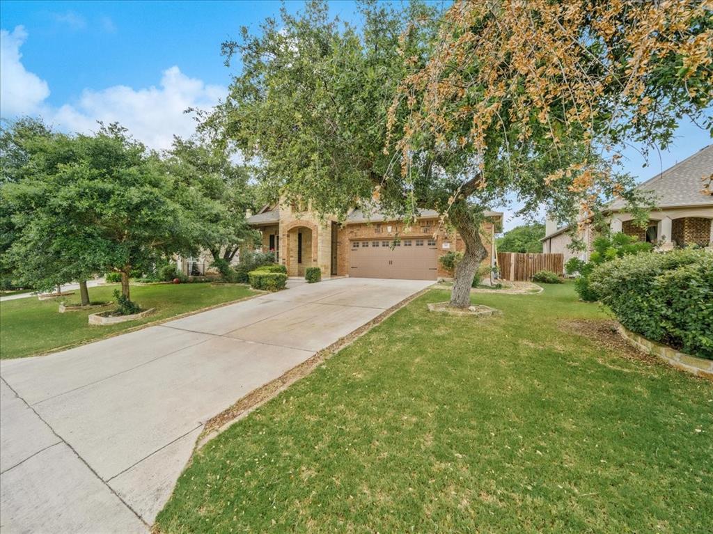 910 Wild Rose DR — photo 3