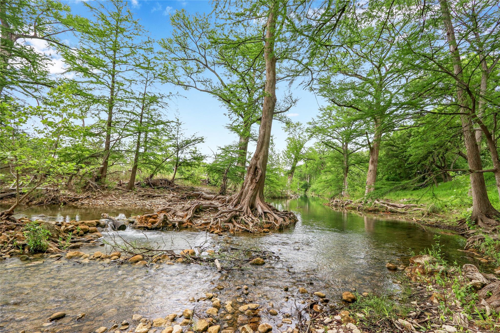 400 BLANCO BEND RD — photo 4