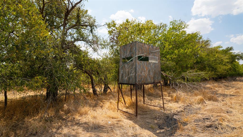 5647 CR 429 — photo 3