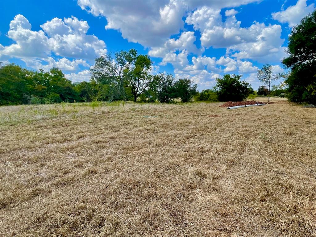 281 E FM 979 — photo 3