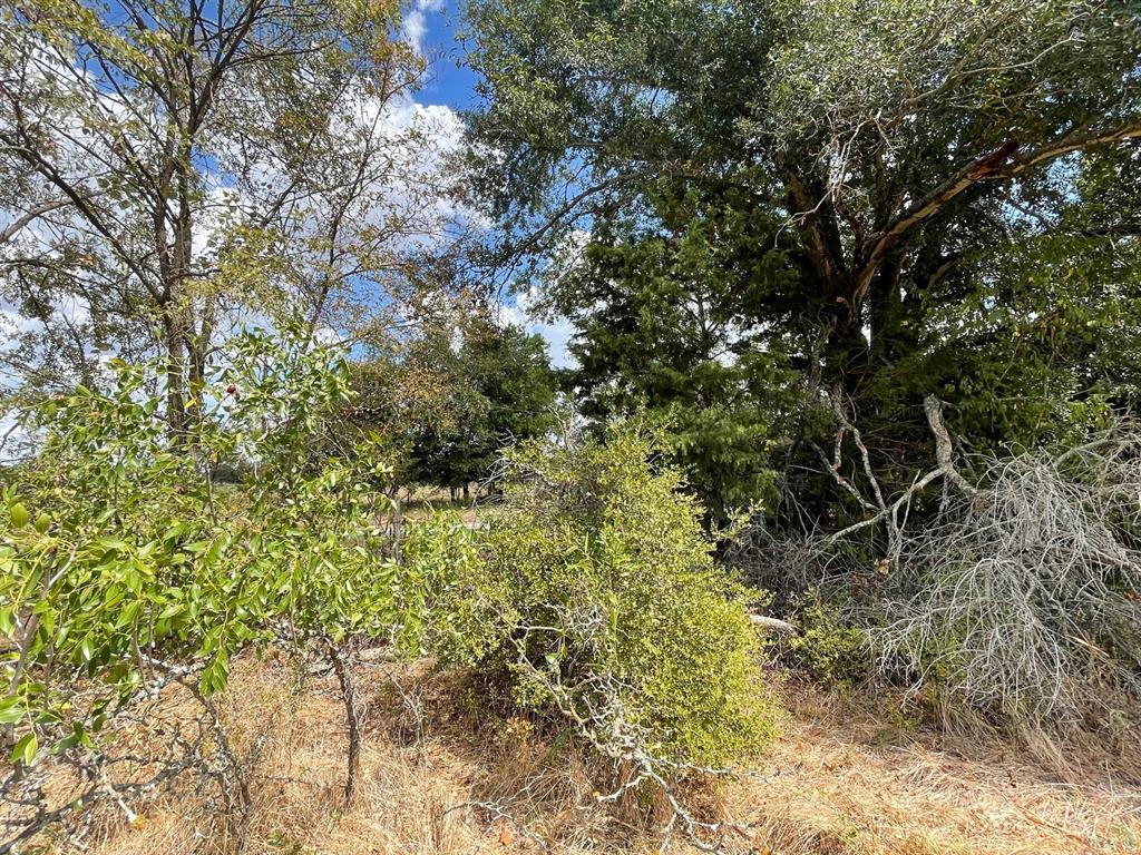 281 E FM 979 — photo 4