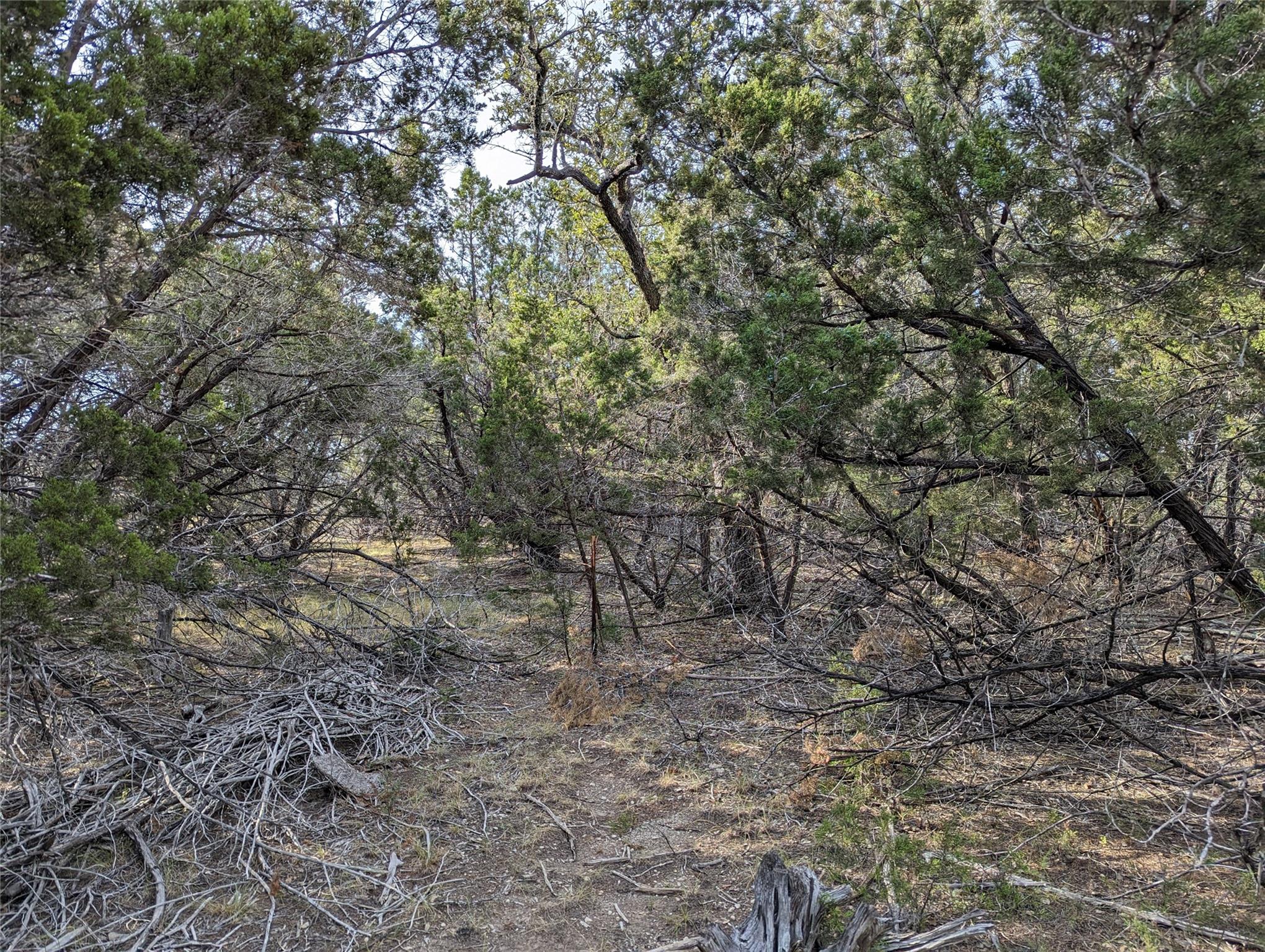 TBD Abilene ST — photo 3