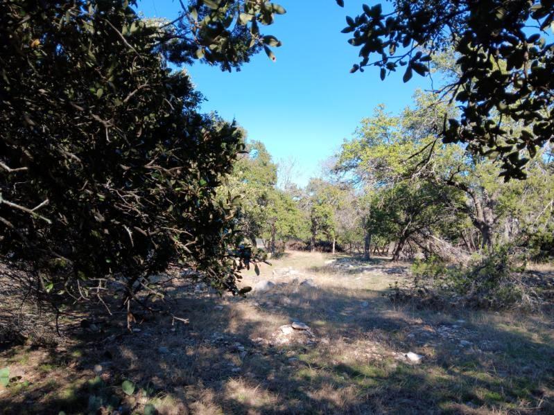 101 Timber Line RD — photo 3