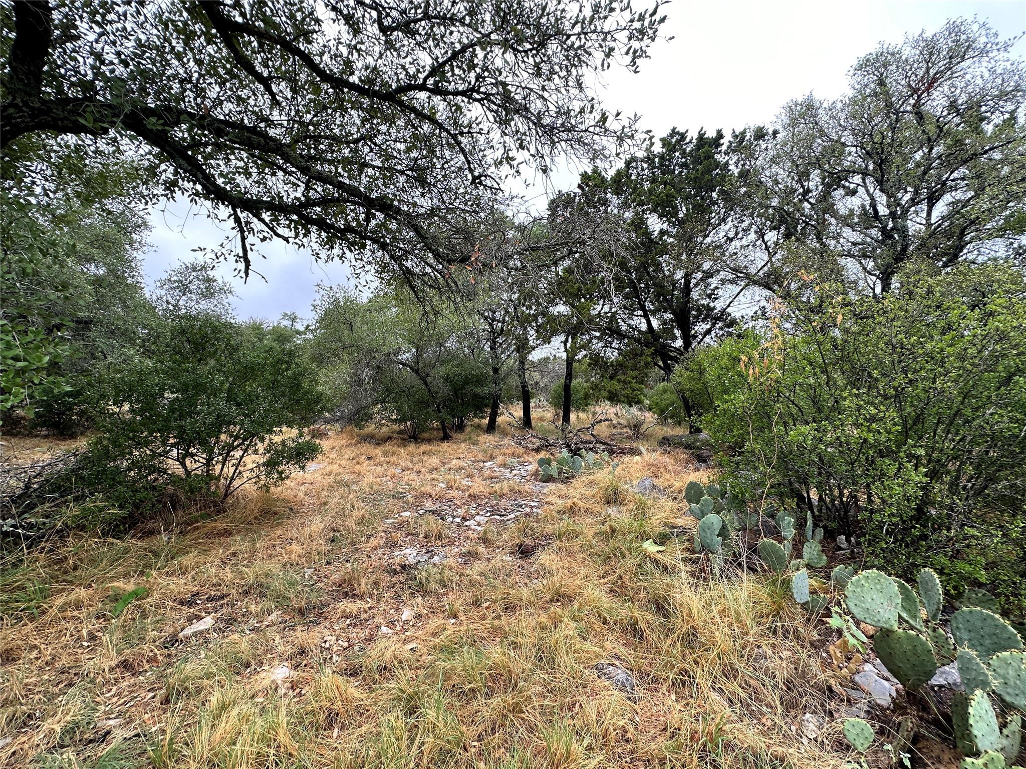 820 Mountain Dew — photo 3