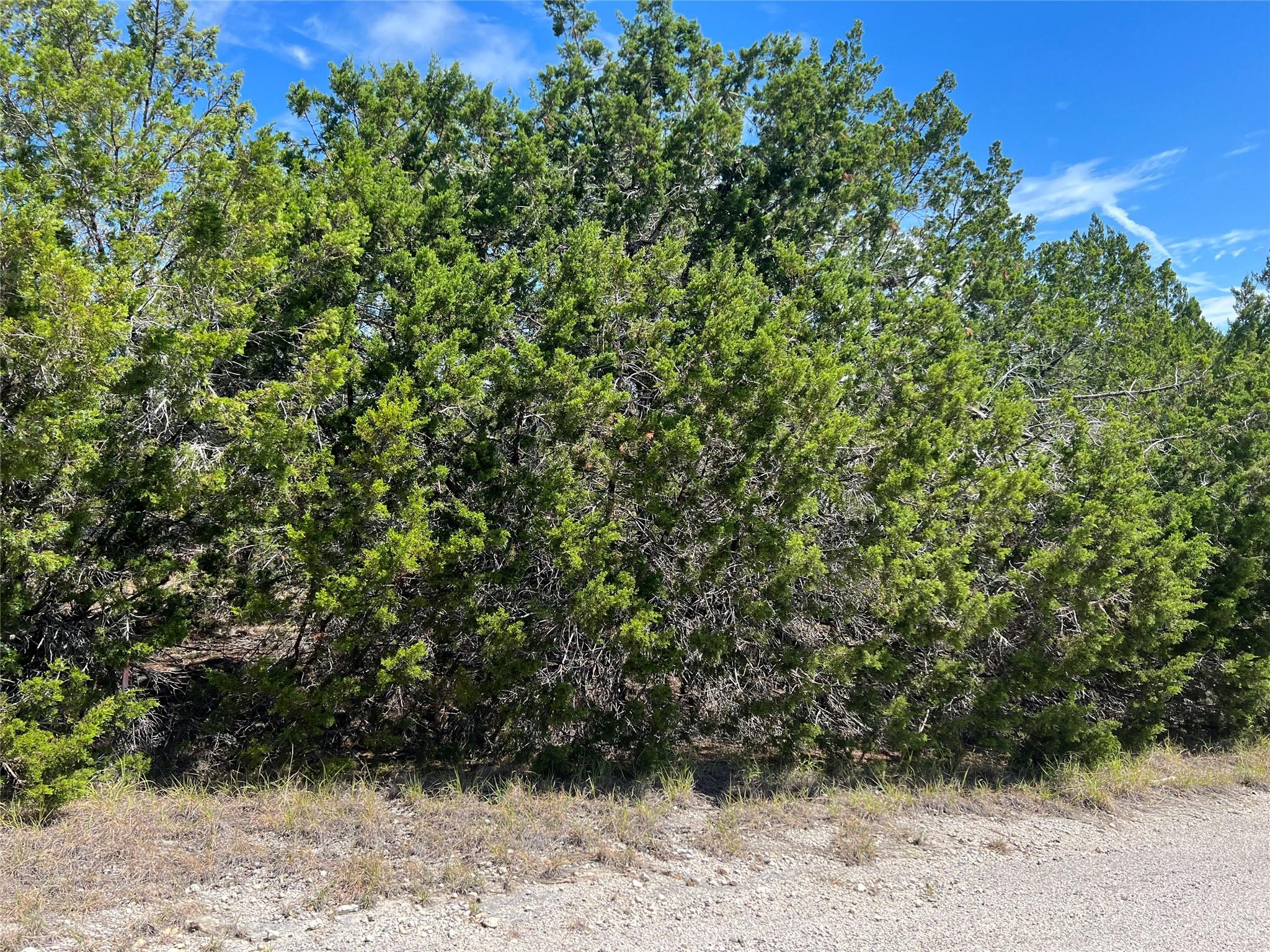 20700 Overland TRL — photo 4