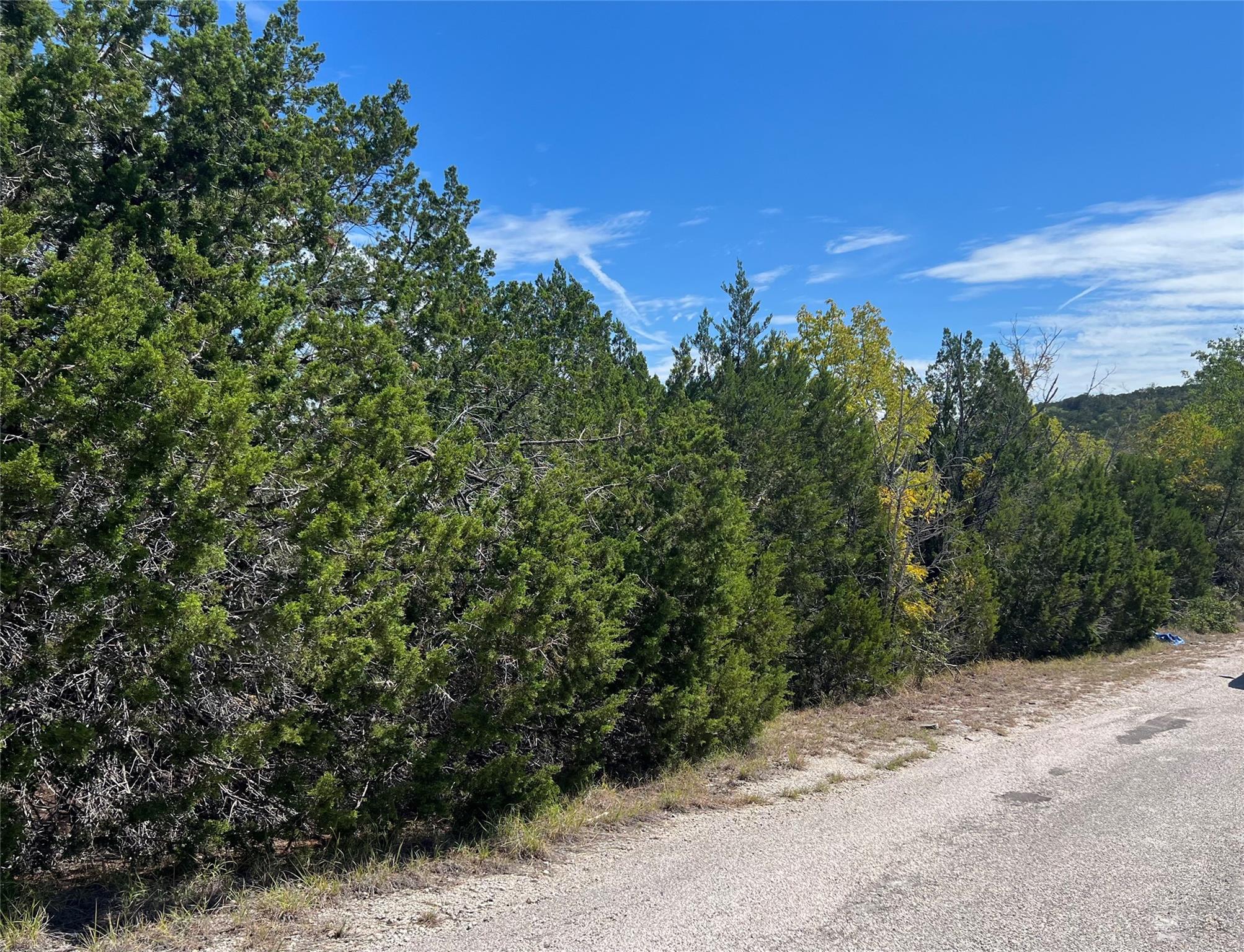 20700 Overland TRL — photo 5