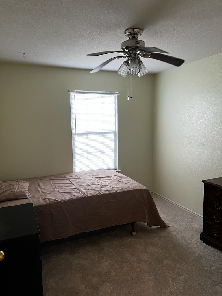 1109 Stone Forest TRL — photo 5