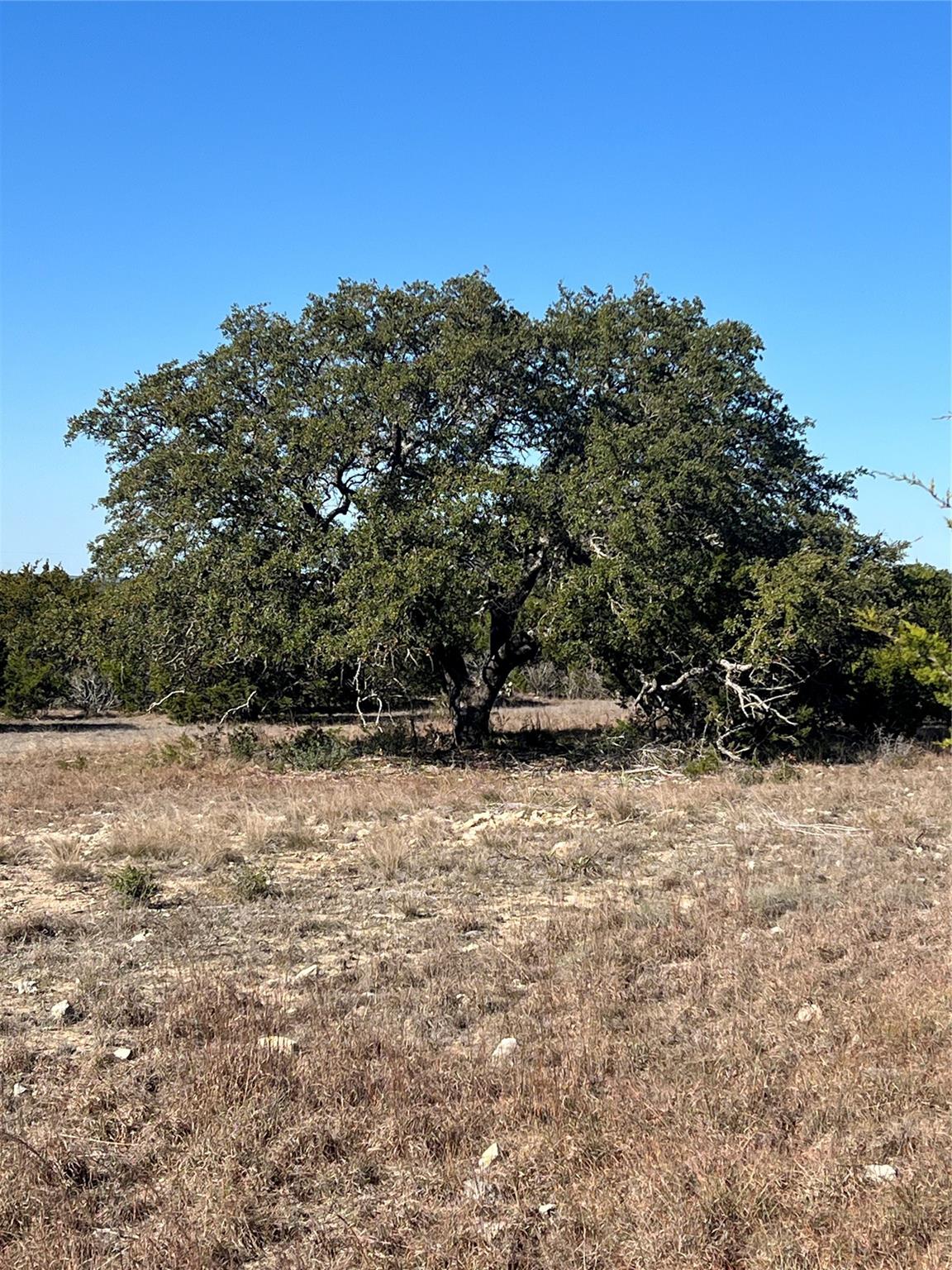 Lot 138 High Point DR — photo 4
