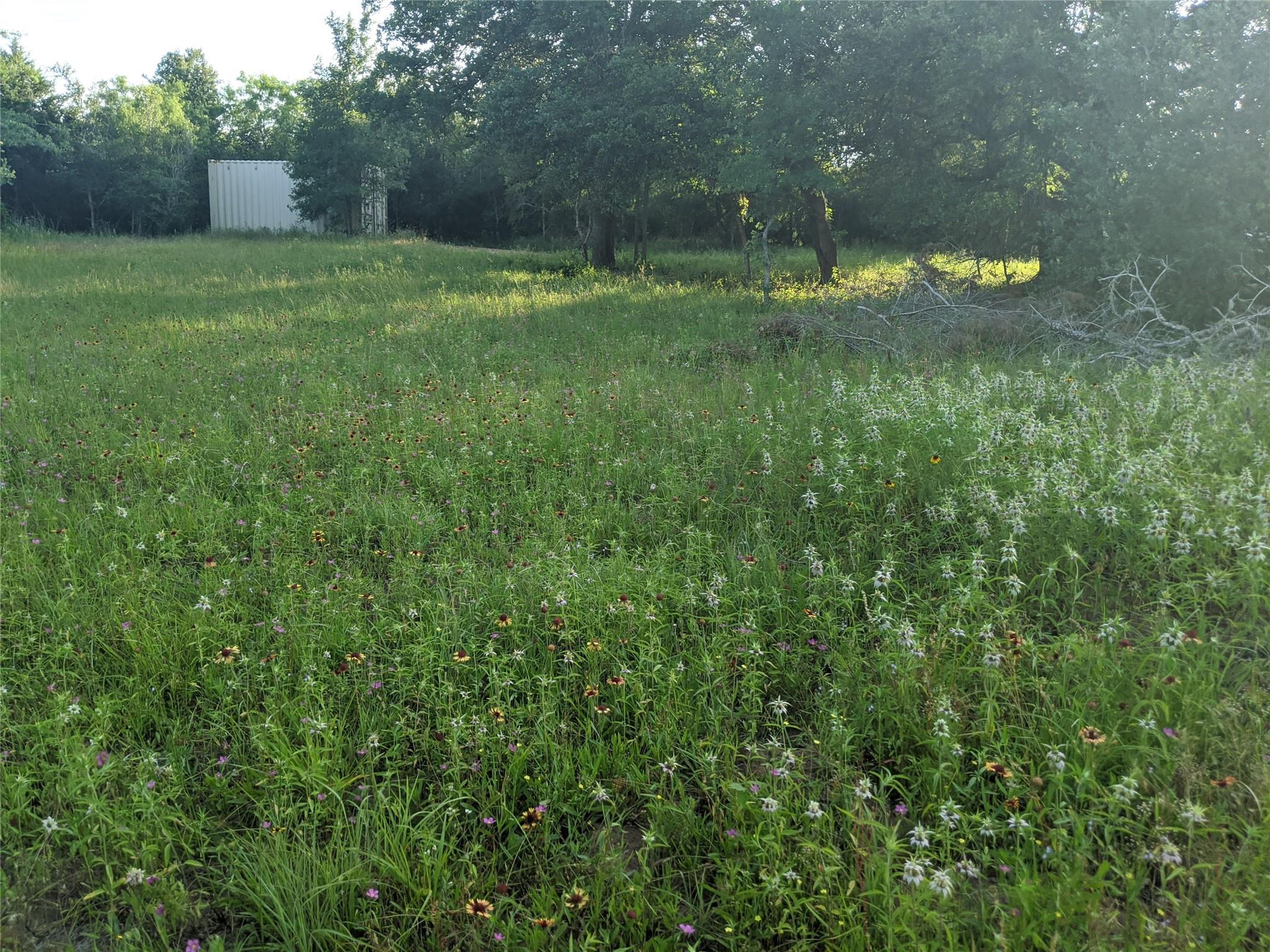 272 Deadwood RD — photo 4