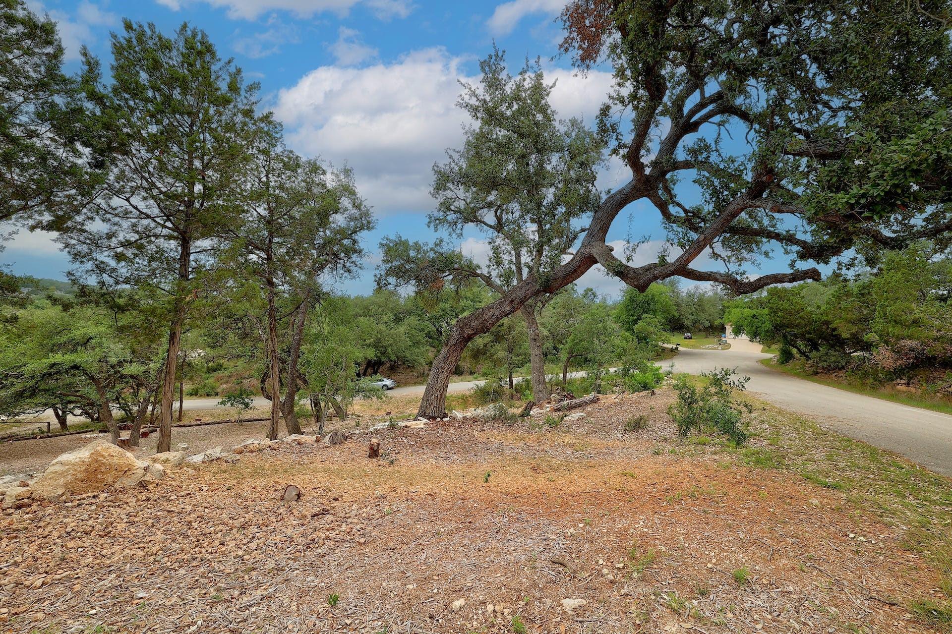 20101 Collier LN — photo 5