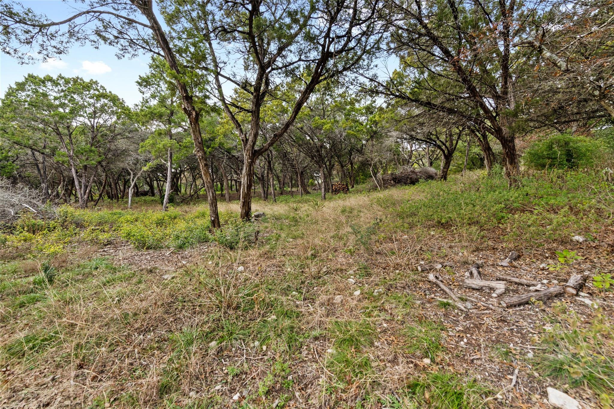 1453 Wild Basin Ledge ST — photo 4