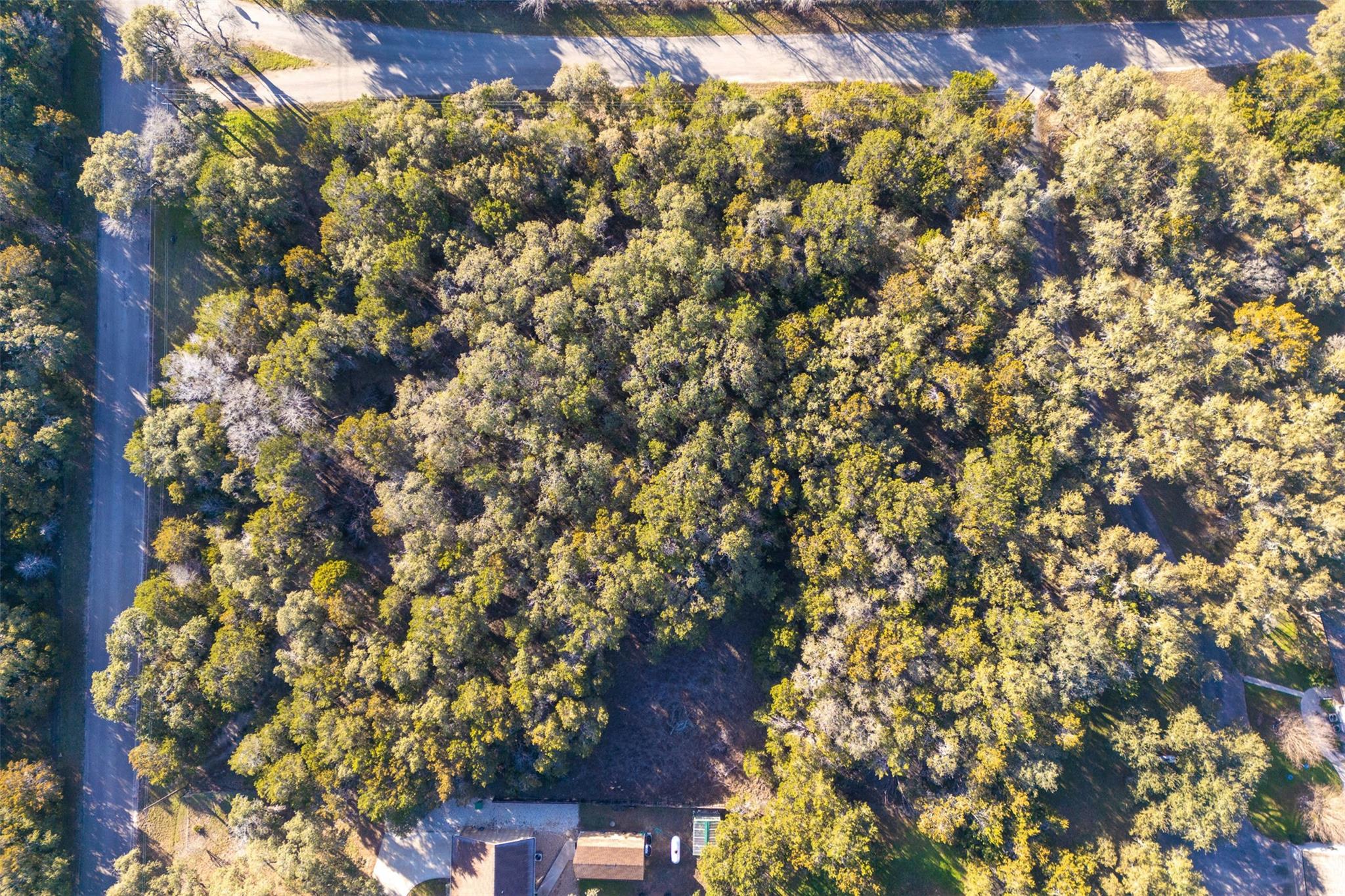 202,204,208 Thomas Oaks DR — photo 3