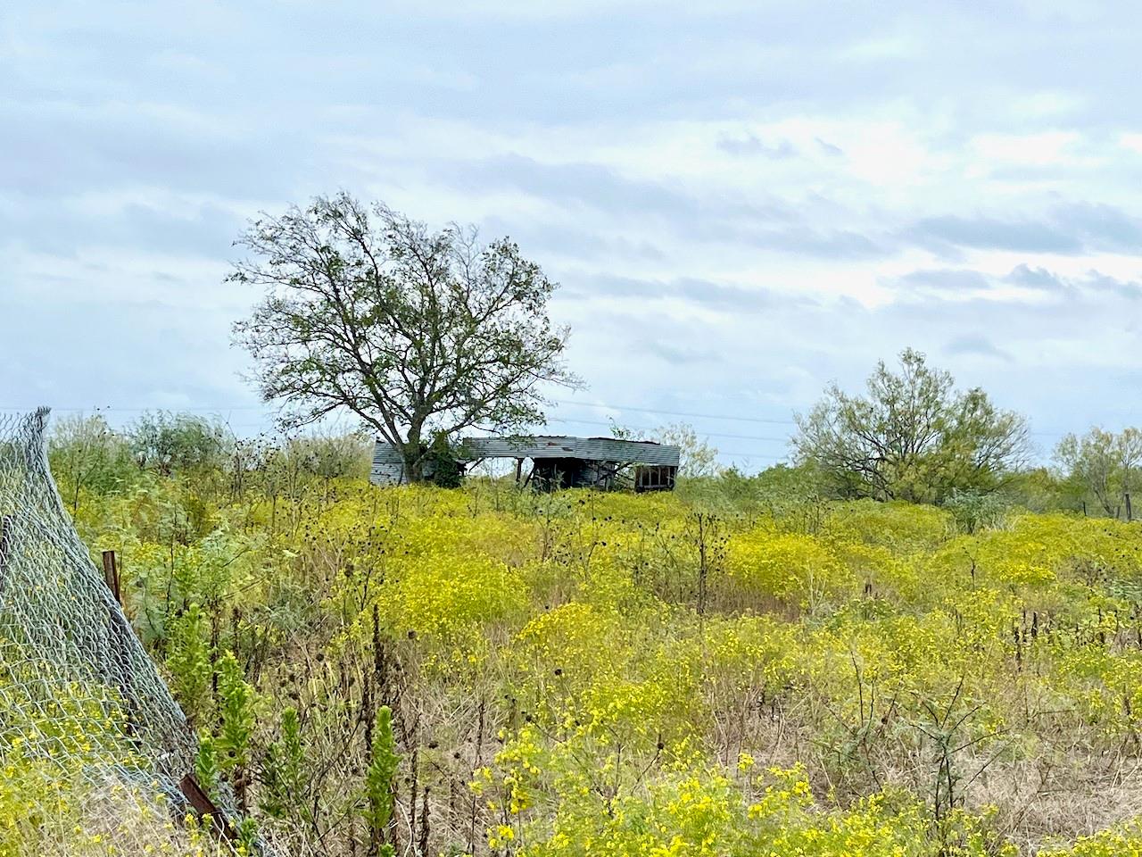 11604 Moore RD — photo 3