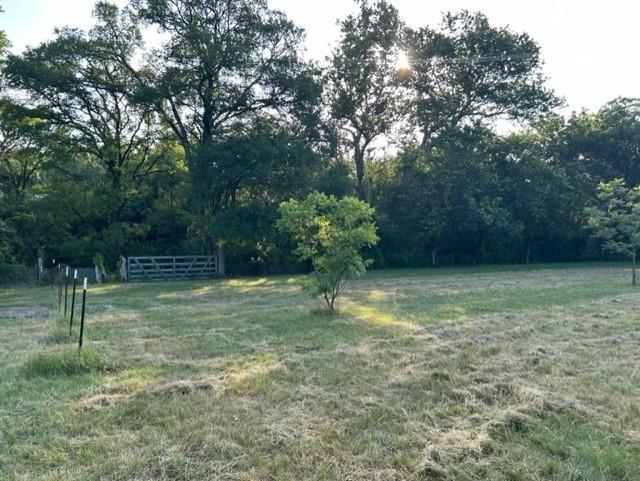 21604 Cold Spring DR — photo 5