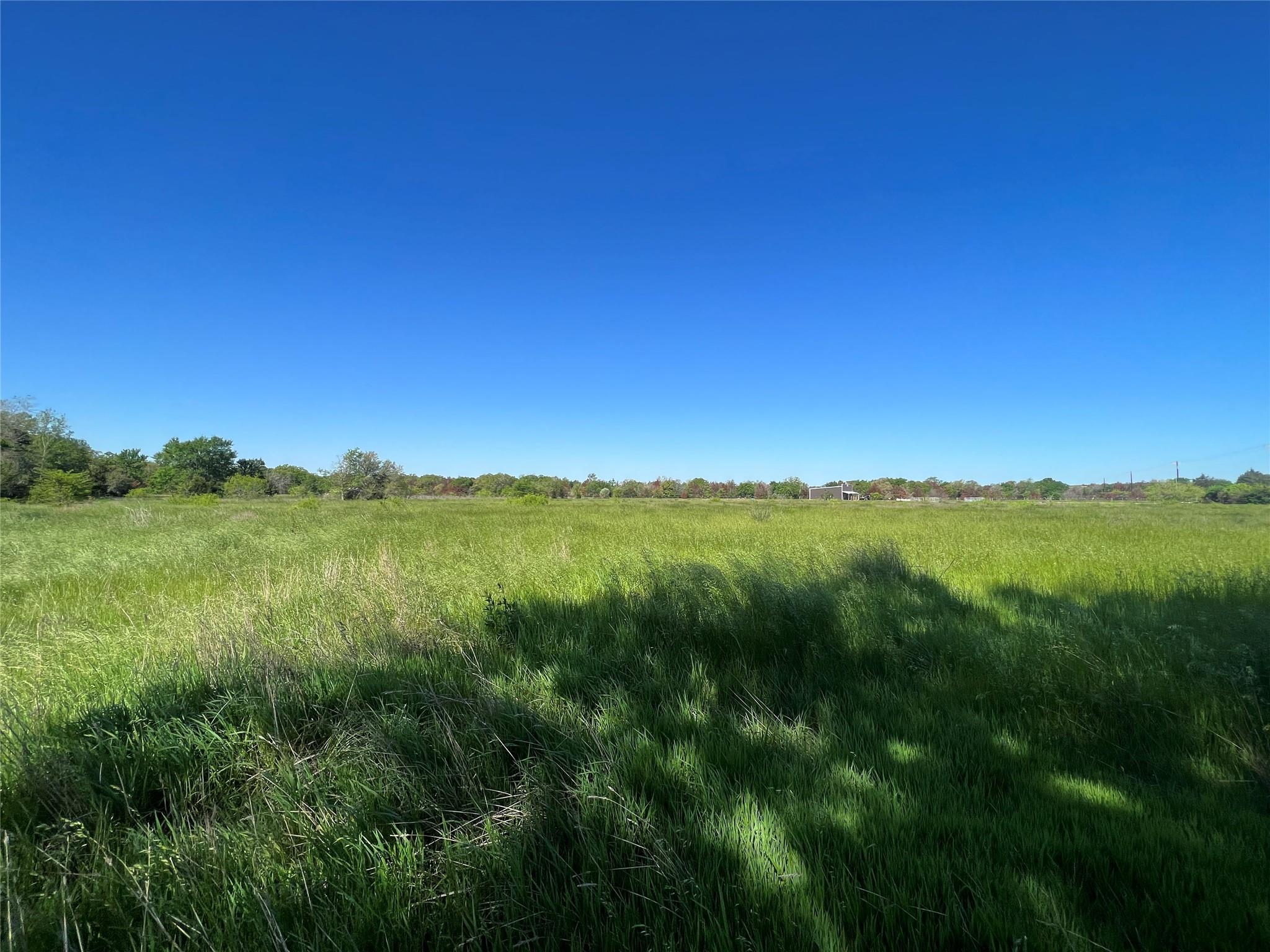9203 Highway 21 Highway — photo 3
