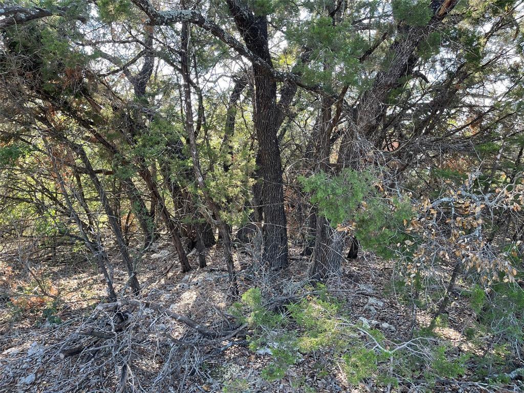 21105 Santa Carlo Ave — photo 4