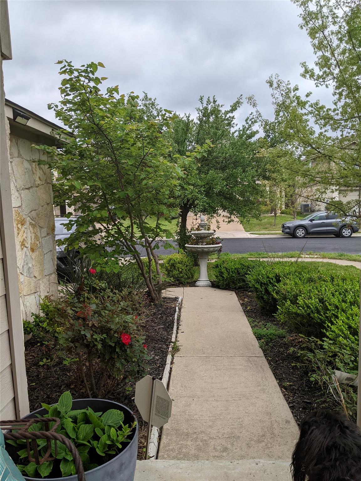 14209 Canyon TRL — photo 5