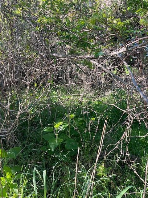 171 Kahana LN — photo 3