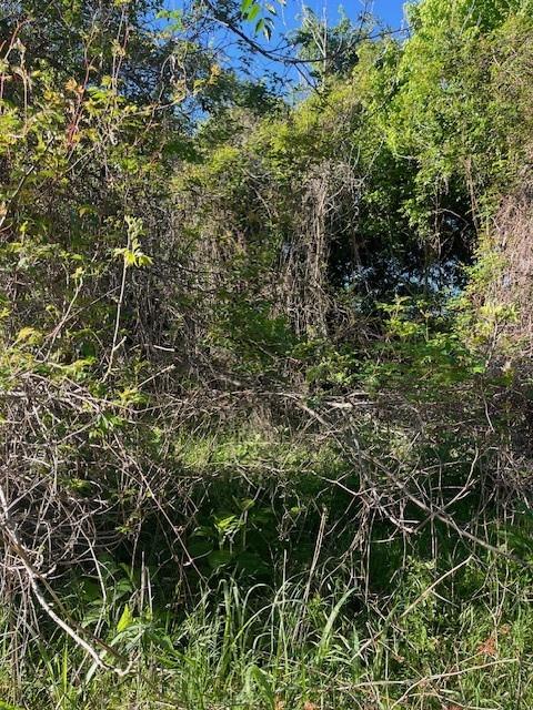 171 Kahana LN — photo 4