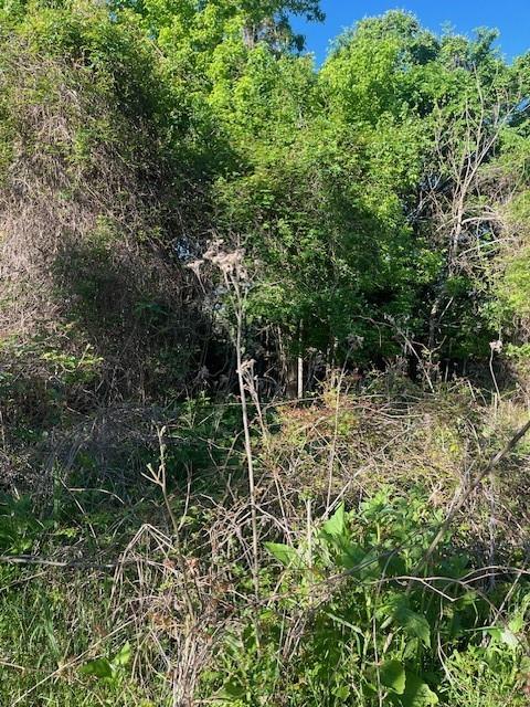 171 Kahana LN — photo 5