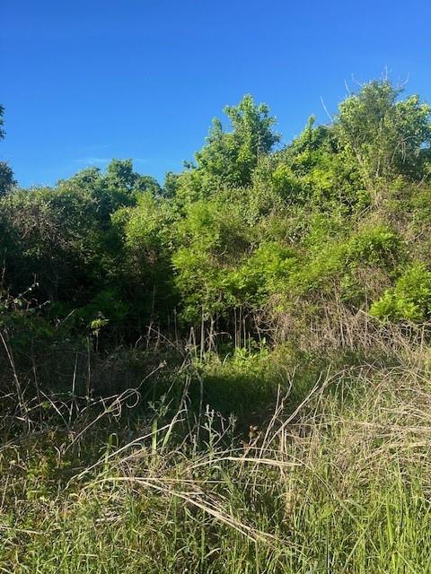 167 Kahana LN — photo 3