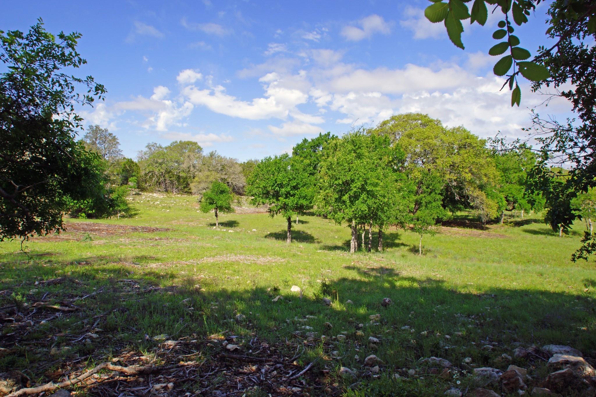 Lot 48 Bridget CT — photo 3