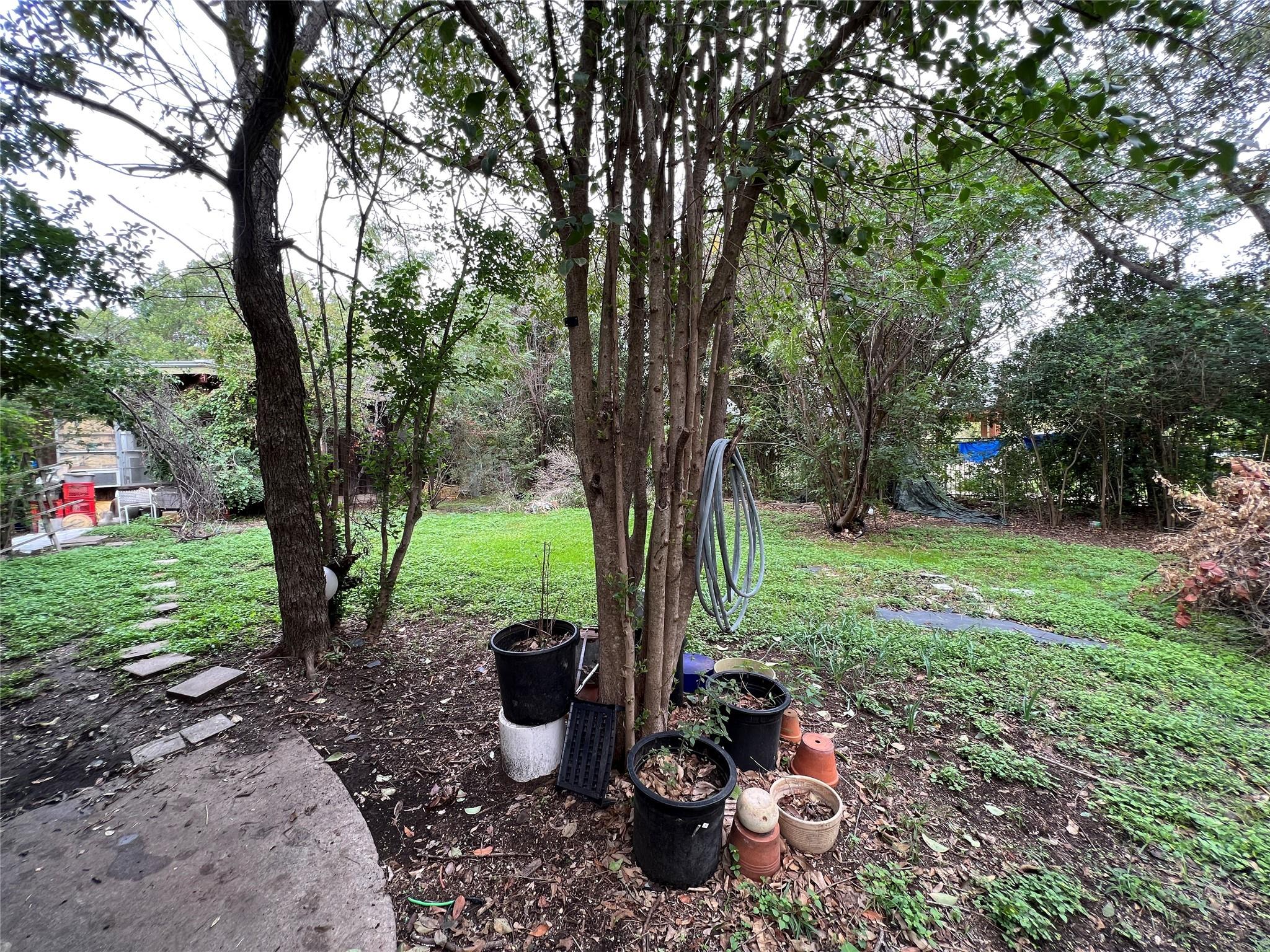 905 Neans DR — photo 5