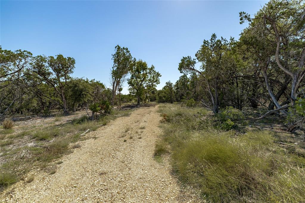 TBD County Road 281 Lot 4 — photo 3