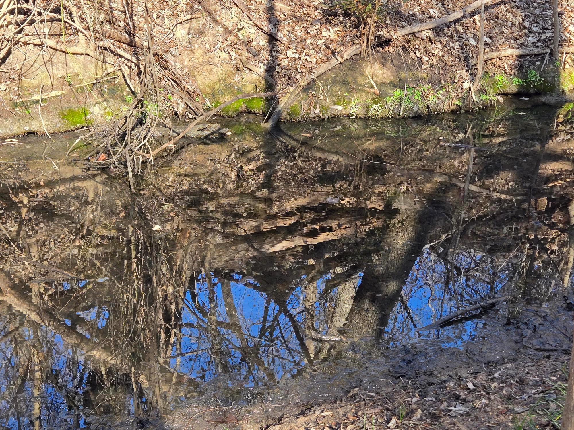 TBD Longhorn DR — photo 4