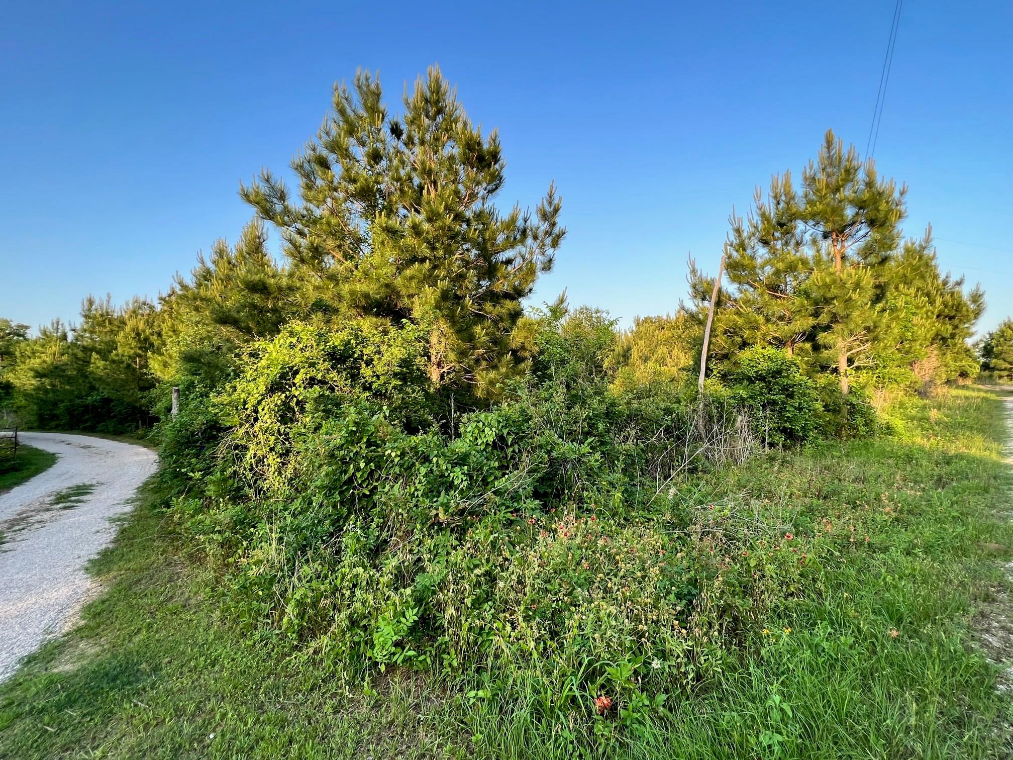 Lot 27 Kinsey Rd — photo 3