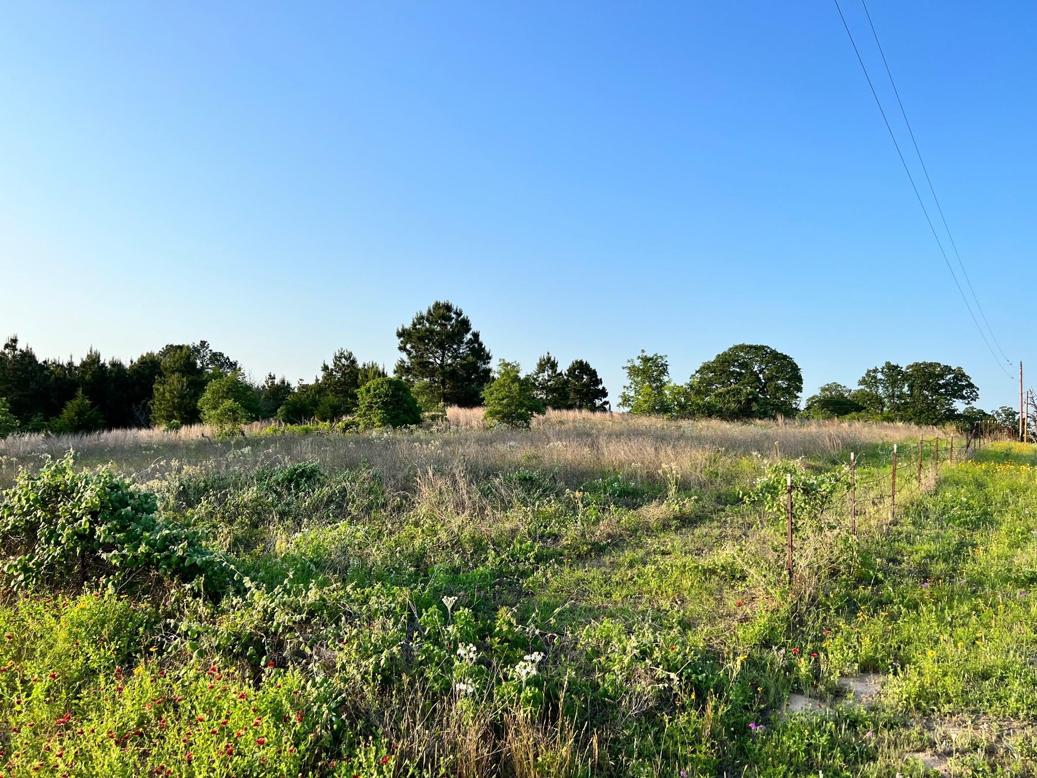 Lot 27 Kinsey Rd — photo 5