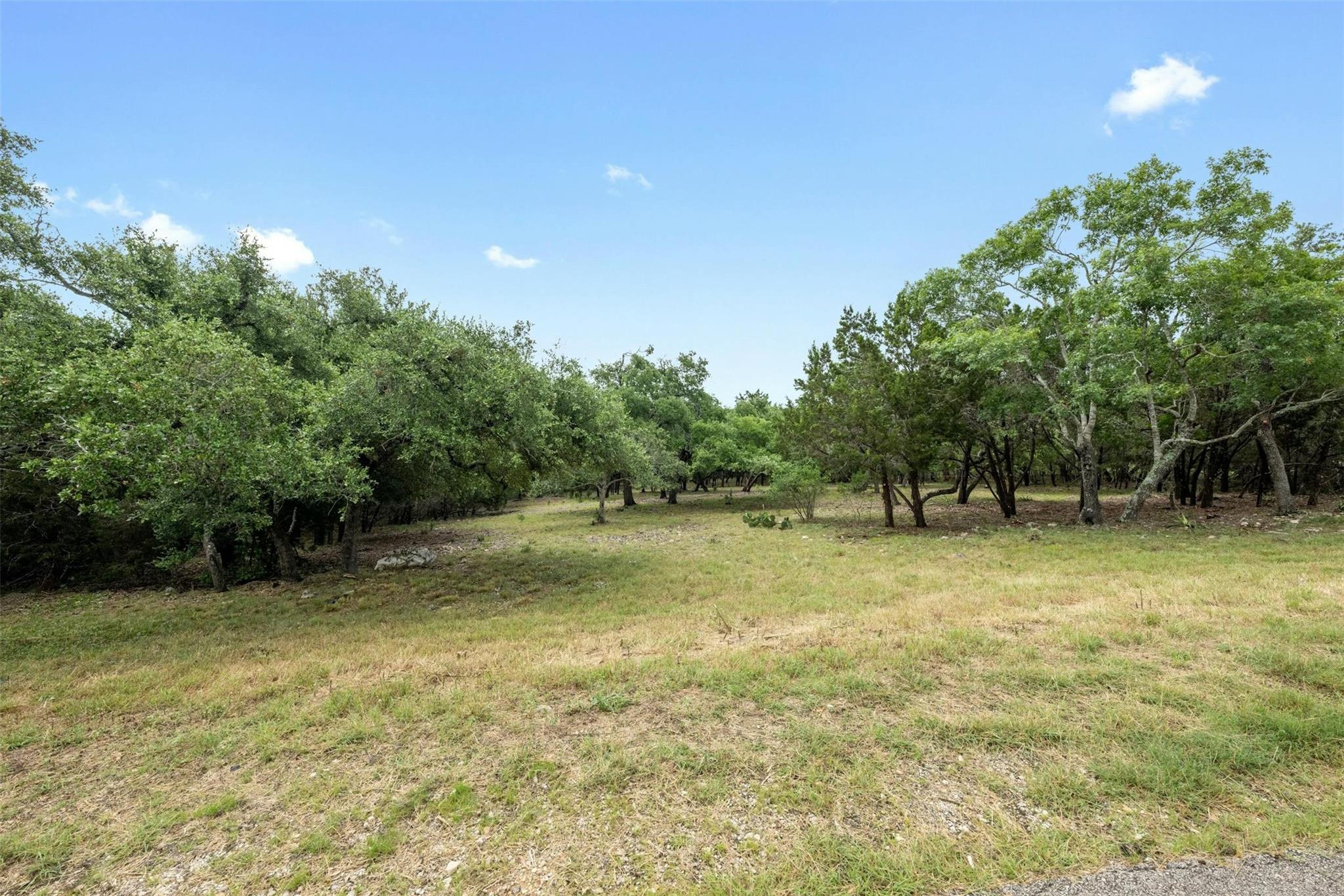 1005 Covered Bridge DR — photo 3