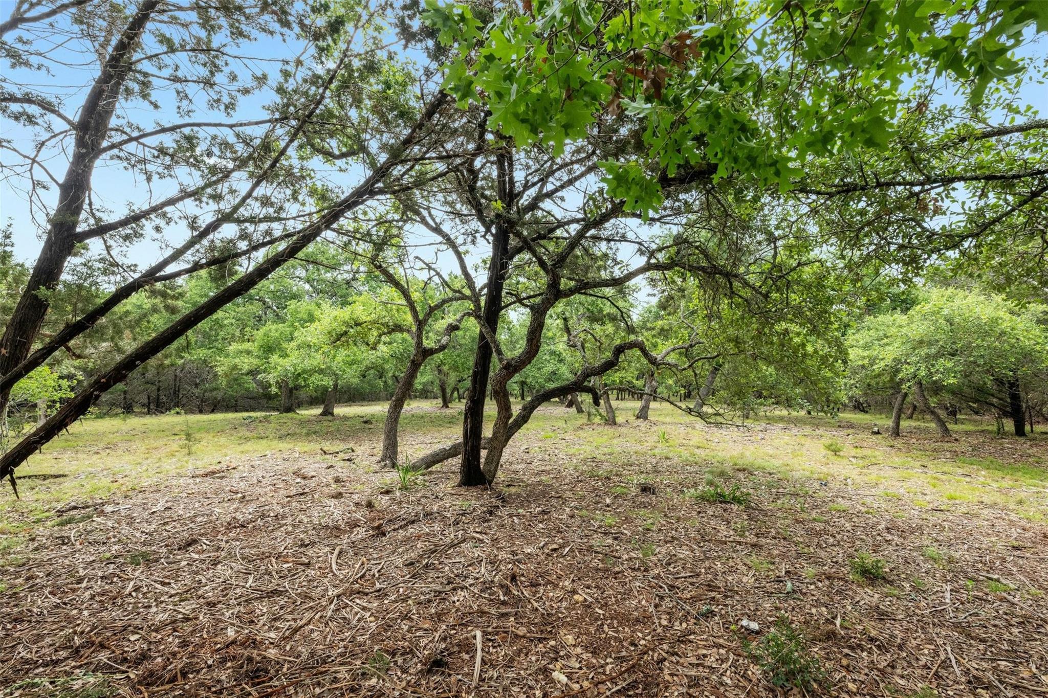 1005 Covered Bridge DR — photo 4
