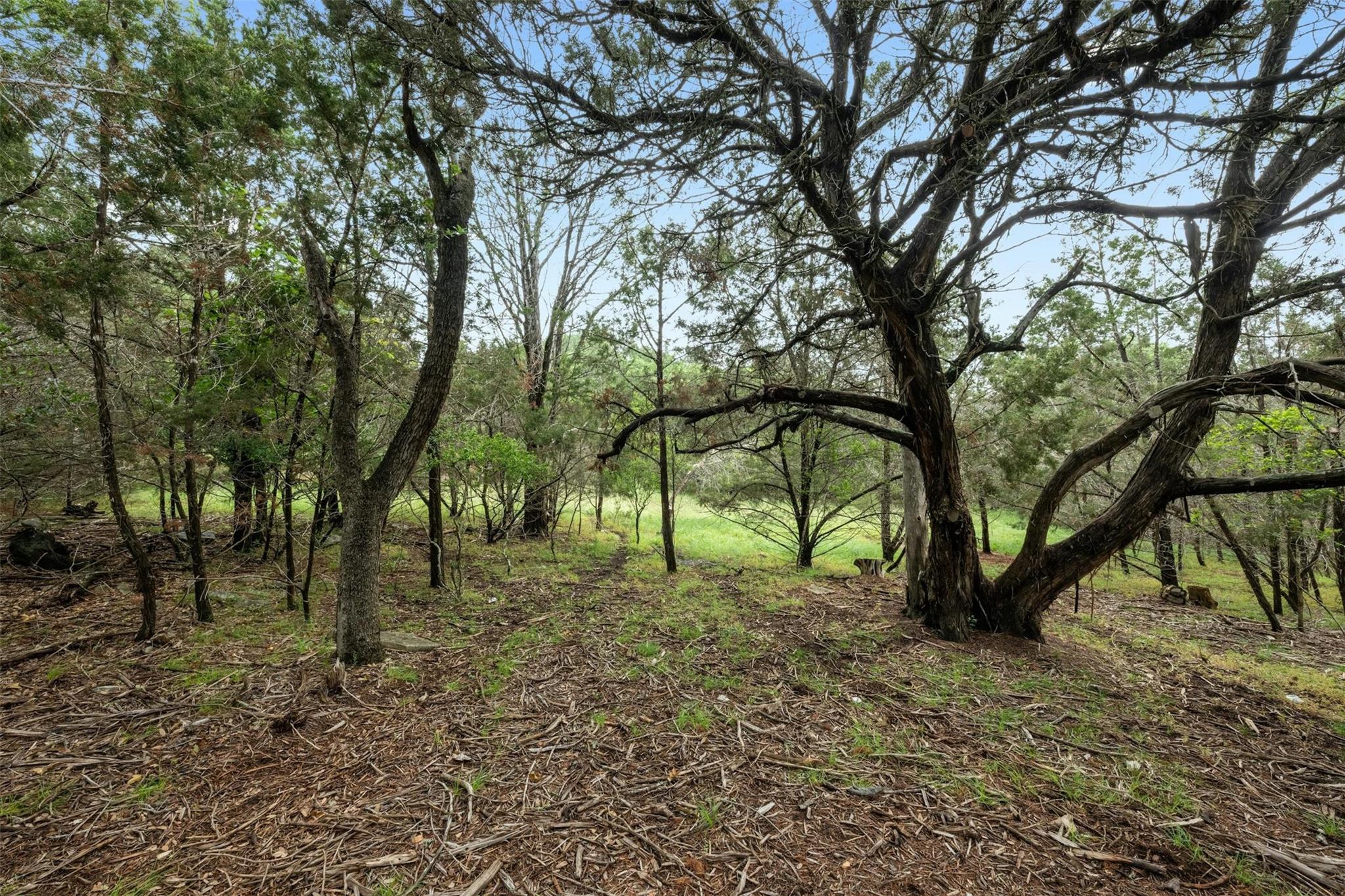 1005 Covered Bridge DR