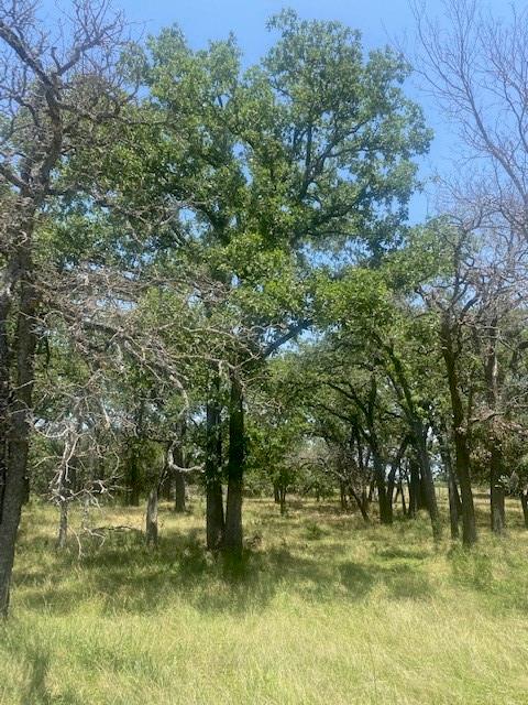 3 Becky LN — photo 3